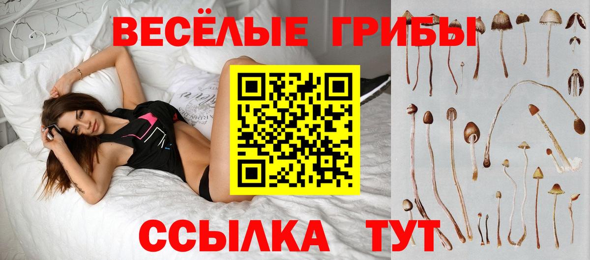 Псилоцибиновые грибы мухоморы  Вход с VPN  Карталы  Псилоцибиновые грибы Psilocybine cubensis 