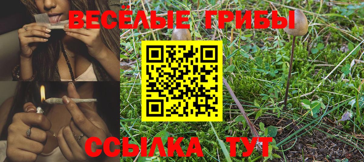 Псилоцибиновые грибы прущие грибы Карталы